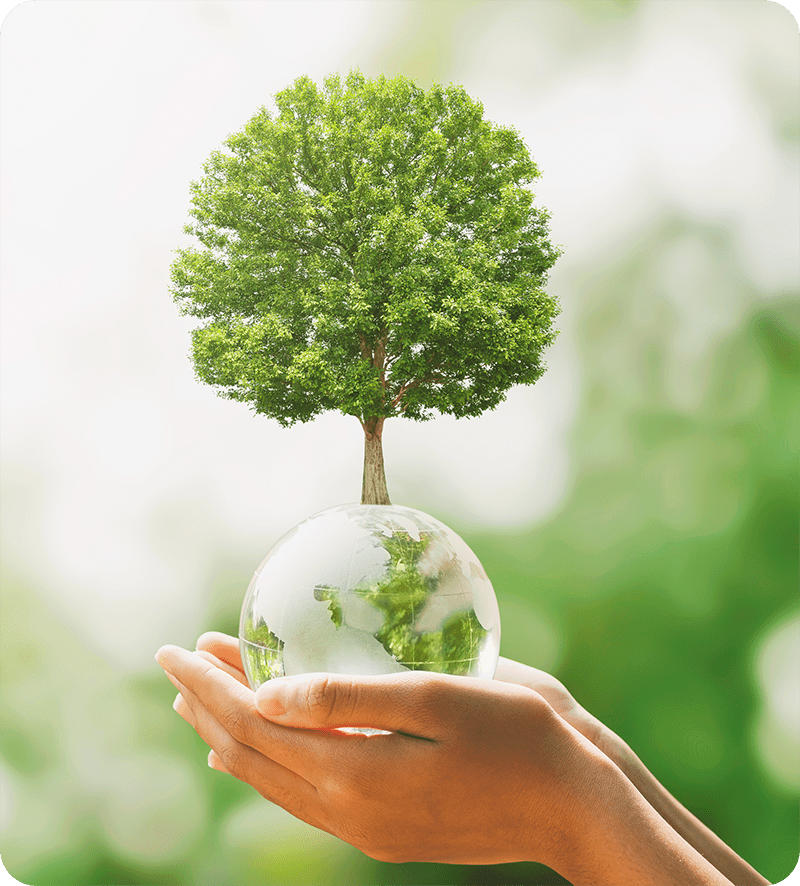 Home_Sustainability
