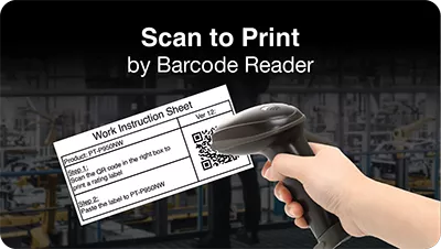 Scan to Print