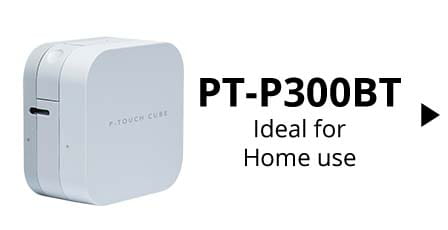 home-pt300